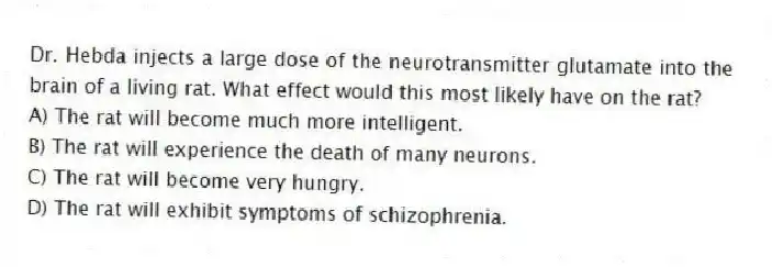 Dr. Hebda injects a large dose of the neurotransmitter glutamate into the brain of a living rat. What effect would this most likely have on the rat?
A) The rat will become much more intelligent.
B) The rat will experience the death of many neurons.
C) The rat will become very hungry.
D) The rat will exhibit symptoms of schizophrenia.