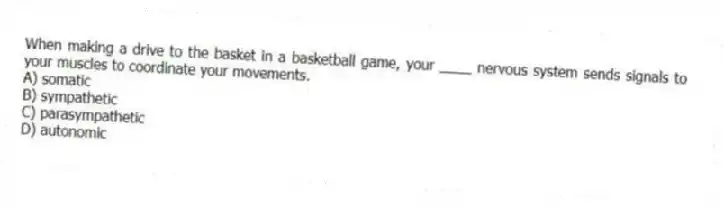 When making a drive to the basket in a basketball game, your ____ nervous system sends signals to your muscles to coordinate your movements.
A) somatic
B) sympathetic
C) parasympathetic
D) autonomic