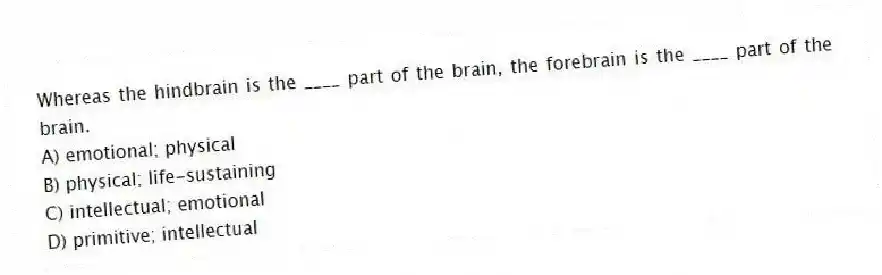Whereas the hindbrain is the ____ part of the brain, the forebrain is the ____ part of the brain.
A) emotional; physical
B) physical; life-sustaining
C) intellectual; emotional
D) primitive; intellectual