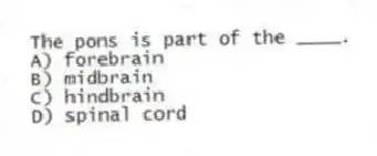 The pons is part of the ____.
A) forebrain
B) midbrain
C) hindbrain
D) spinal cord