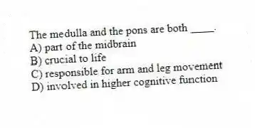 The medulla and the pons are both ____.
A) part of the midbrain
B) crucial to life
C) responsible for arm and leg movement
D) involved in higher cognitive function