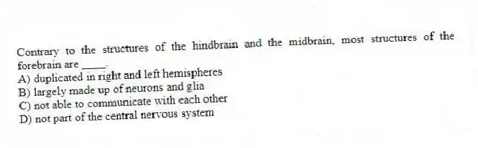 Contrary to the structures of the hindbrain and the midbrain, most structures of the forebrain are ____.
A) duplicated in right and left hemispheres
B) largely made up of neurons and glia
C) not able to communicate with each other
D) not part of the central nervous system