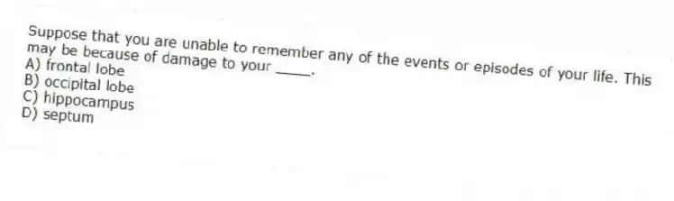 Suppose that you are unable to remember any of the events or episodes of your life. This may be because of damage to your ____.
A) frontal lobe
B) occipital lobe
C) hippocampus
D) septum