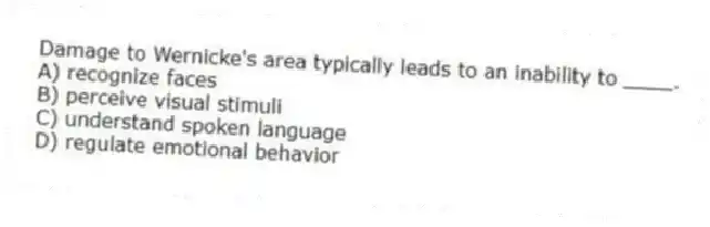 Damage to Wernicke's area typically leads to an inability to ____.
A) recognize faces
B) perceive visual stimuli
C) understand spoken language
D) regulate emotional behavior