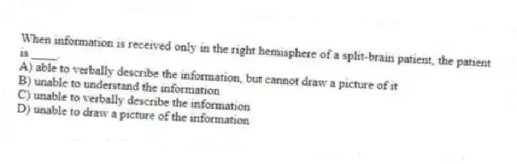 When information is received only in the right hemisphere of a split-brain patient, the patient is ____.
A) able to verbally describe the information, but cannot draw a picture of it
B) unable to understand the information
C) unable to verbally describe the information
D) unable to draw a picture of the information