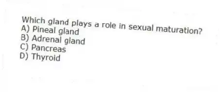 Which gland plays a role in sexual maturation?
A) Pineal gland
B) Adrenal gland
C) Pancreas
D) Thyroid
