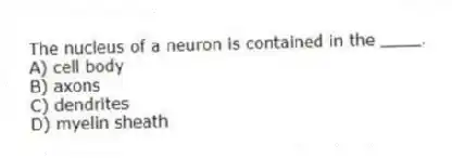 The nucleus of a neuron is contained in the ____.
A) cell body
B) axons
C) dendrites
D) myelin sheath