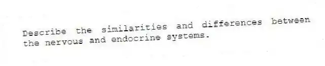 Describe the similarities and differences between the nervous and endocrine systems.
