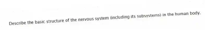 Describe the basic structure of the nervous system (including its subsystems) in the human body.