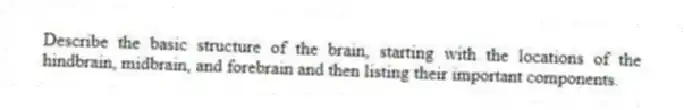 Describe the basic structure of the brain, starting with the locations of the hindbrain, midbrain, and forebrain and then listing their important components.