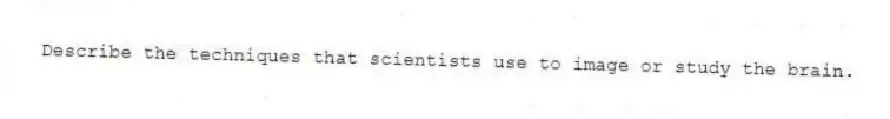 Describe the techniques that scientists use to image or study the brain.