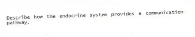 Describe how the endocrine system provides a communication pathway.