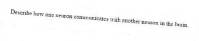 Describe how one neuron communicates with another neuron in the brain.