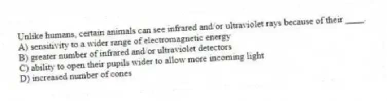 Unlike humans, certain animals can see infrared and/or ultraviolet rays because of their ____.
A) sensitivity to a wider range of electromagnetic energy
B) greater number of infrared and/or ultraviolet detectors
C) ability to open their pupils wider to allow more incoming light
D) increased number of cones