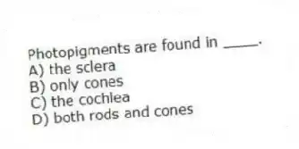 Photopigments are found in ____.
A) the sclera
B) only cones
C) the cochlea
D) both rods and cones