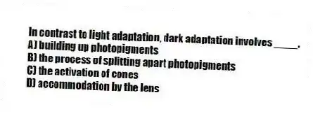In contrast to light adaptation, dark adaptation involves ____.
A) building up photopigments
B) the process of splitting apart photopigments
C) the activation of cones
D) accommodation by the lens