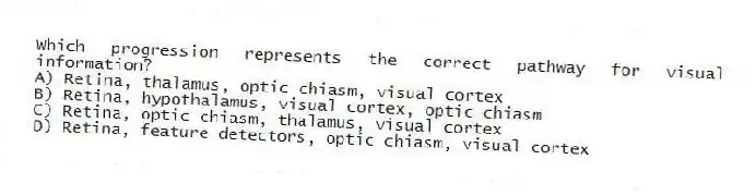 Which progression represents the correct pathway for visual information?
A) Retina, thalamus, optic chiasm, visual cortex
B) Retina, hypothalamus, visual cortex, optic chiasm
C) Retina, optic chiasm, thalamus, visual cortex
D) Retina, feature detectors, optic chiasm, visual cortex