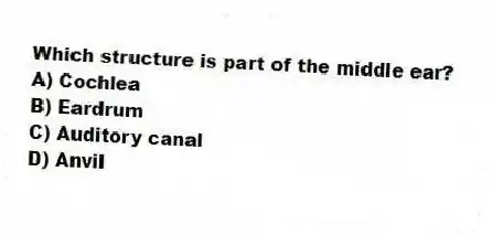 Which structure is part of the middle ear?
A) Cochlea
B) Eardrum
C) Auditory canal
D) Anvil