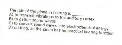 The role of the pinna in hearing is ____.
A) to transmit vibrations to the auditory cortex
B) to gather sound waves
C) to convert sound waves into electrochemical energy
D) nothing, as the pinna has no practical hearing function
