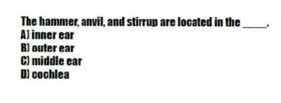 The hammer, anvil, and stirrup are located in the ____.
A) inner ear
B) outer ear
C) middle ear
D) cochlea