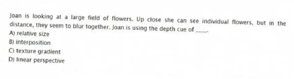 Joan is looking at a large field of flowers. Up close she can see individual flowers, but in the distance, they seem to blur together. Joan is using the depth cue of ____.
A) relative size
B) interposition
C) texture gradient
D) linear perspective
