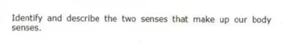 Identify and describe the two senses that make up our body senses.