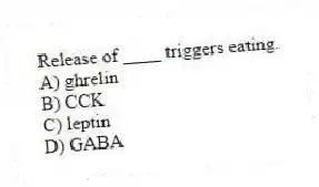 Release of ____ triggers eating.
A) ghrelin
B) CCK
C) leptin
D) GABA