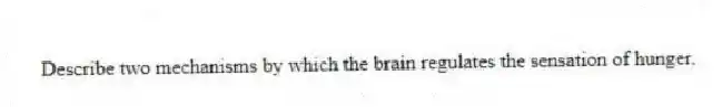 Describe two mechanisms by which the brain regulates the sensation of hunger.