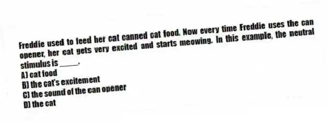 Freddie used to feed her cat canned cat food. Now every time Freddie uses the can opener, her cat gets very excited and starts meowing. In this example, the neutral stimulus is ____.
A) cat food
B) the cat's excitement
C) the sound of the can opener
D) the cat