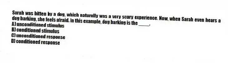 Sarah was bitten by a dog, which naturally was a very scary experience. Now, when Sarah even hears a dog barking, she feels afraid. In this example, dog barking is the ____.
A) unconditioned stimulus
B) conditioned stimulus
C) unconditioned response
D) conditioned response