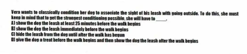Vera wants to classically condition her dog to associate the sight of his leash with going outside. To do this, she must keep in mind that to get the strongest conditioning possible, she will have to ____.
A) show the dog the leash at least 25 minutes before the walk begins
B) show the dog the leash immediately before the walk begins
C) hide the leash from the dog until after the walk has begun
D) give the dog a treat before the walk begins and then show the dog the leash after the walk begins