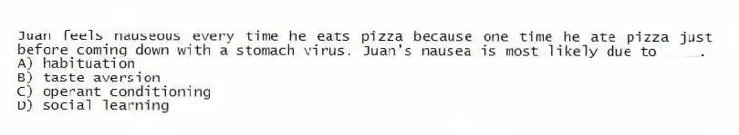 Juan feels nauseous every time he eats pizza because one time he ate pizza just before coming down with a stomach virus. Juan's nausea is most likely due to ____.
A) habituation
B) taste aversion
C) operant conditioning
D) social learning