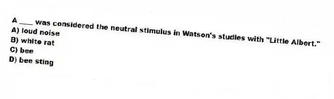 A ____ was considered the neutral stimulus in Watson's studies with "Little Albert."
A) loud noise
B) white rat
C) bee
D) bee sting