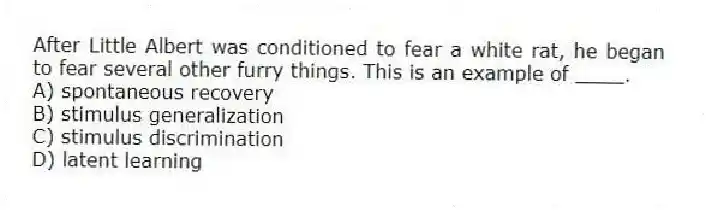After Little Albert was conditioned to fear a white rat, he began to fear several other furry things. This is an example of ____.
A) spontaneous recovery
B) stimulus generalization
C) stimulus discrimination
D) latent learning