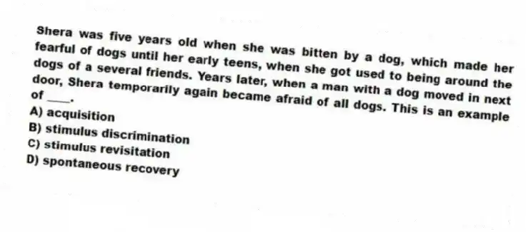 Shera was five years old when she was bitten by a dog, which made her fearful of dogs until her early teens, when she got used to being around the dogs of a several friends. Years later, when a man with a dog moved in next door, Shera temporarily again became afraid of all dogs. This is an example of ____.
A) acquisition
B) stimulus discrimination
C) stimulus revisitation
D) spontaneous recovery
