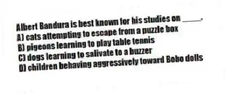 Albert Bandura is best known for his studies on ____.
A) cats attempting to escape from a puzzle box
B) pigeons learning to play table tennis
C) dogs learning to salivate to a buzzer
D) children behaving aggressively toward Bobo dolls