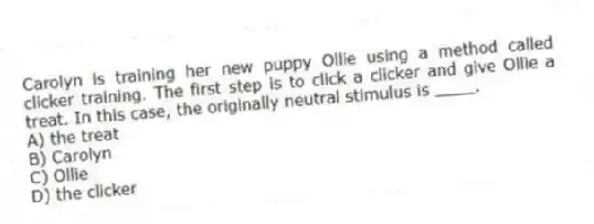 Carolyn is training her new puppy Ollie using a method called clicker training. The first step is to click a clicker and give Ollie a treat. In this case, the originally neutral stimulus is ____.
A) the treat
B) Carolyn
C) Ollie
D) the clicker