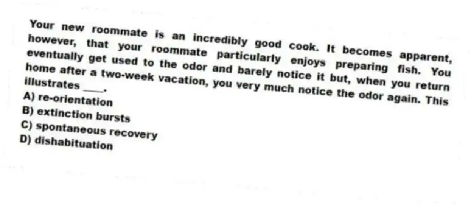 Your new roommate is an incredibly good cook. It becomes apparent, however, that your roommate particularly enjoys preparing fish. You eventually get used to the odor and barely notice it but, when you return home after a two-week vacation, you very much notice the odor again. This illustrates ____.
A) re-orientation
B) extinction bursts
C) spontaneous recovery
D) dishabituation