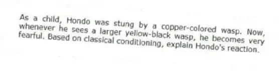 As a child, Hondo was stung by a copper-colored wasp. Now, whenever he sees a larger yellow-black wasp, he becomes very fearful. Based on classical conditioning, explain Hondo's reaction.