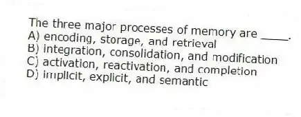 The three major processes of memory are ____.
A) encoding, storage, and retrieval
B) integration, consolidation, and modification
C) activation, reactivation, and completion
D) implicit, explicit, and semantic