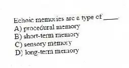Echoic memories are a type of ____.
A) procedural memory
B) short-term memory
C) sensory memory
D) long-term memory