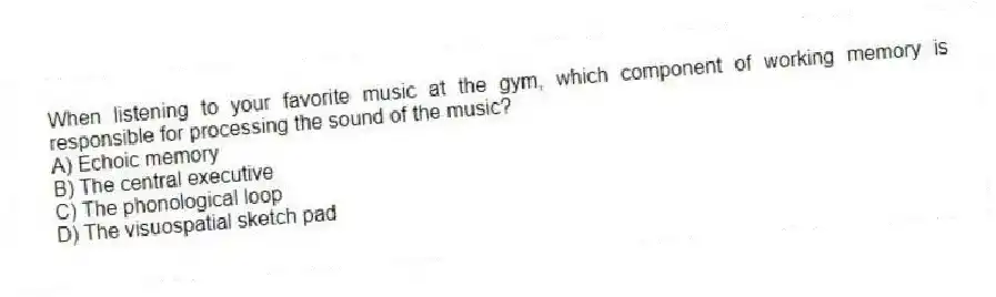 When listening to your favorite music at the gym, which component of working memory is responsible for processing the sound of the music?
A) Echoic memory
B) The central executive
C) The phonological loop
D) The visuospatial sketch pad