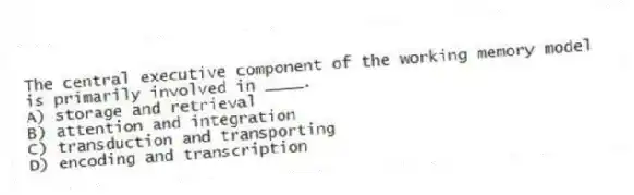 The central executive component of the working memory model is primarily involved in ____.
A) storage and retrieval
B) attention and integration
C) transduction and transporting
D) encoding and transcription