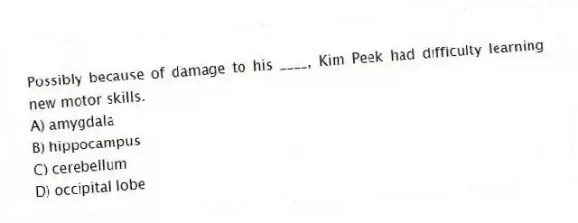 Possibly because of damage to his ____, Kim Peek had difficulty learning new motor skills.
A) amygdala
B) hippocampus
C) cerebellum
D) occipital lobe
