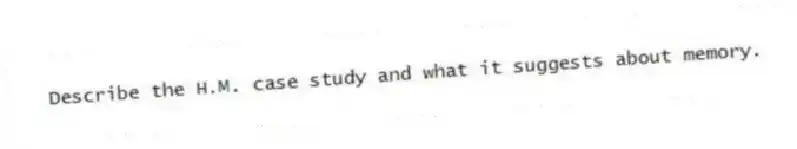 Describe the H.M. case study and what it suggests about memory.
