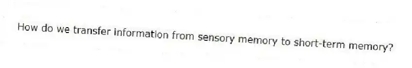 How do we transfer information from sensory memory to short-term memory?