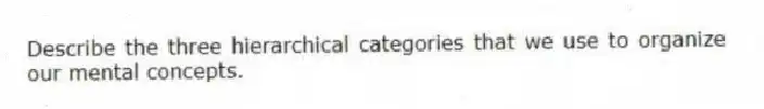 Describe the three hierarchical categories that we use to organize our mental concepts.