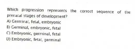 Which progression represents the correct sequence of the prenatal stages of development?
A) Germinal, fetal, embryonic
B) Germinal, embryonic, fetal
C) Embryonic, germinal, fetal
D) Embryonic, fetal, germinal