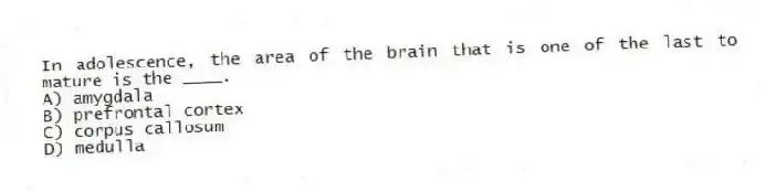 In adolescence, the area of the brain that is one of the last to mature is the ____.
A) amygdala
B) prefrontal cortex
C) corpus callosum
D) medulla