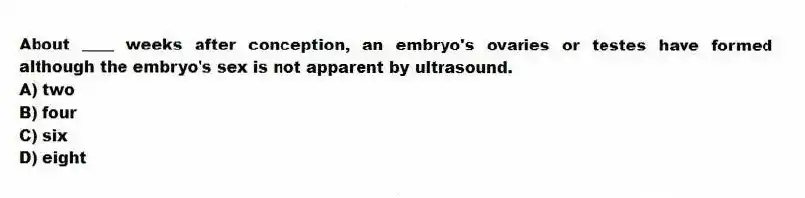 About ____ weeks after conception, an embryo's ovaries or testes have formed although the embryo's sex is not apparent by ultrasound.
A) two
B) four
C) six
D) eight